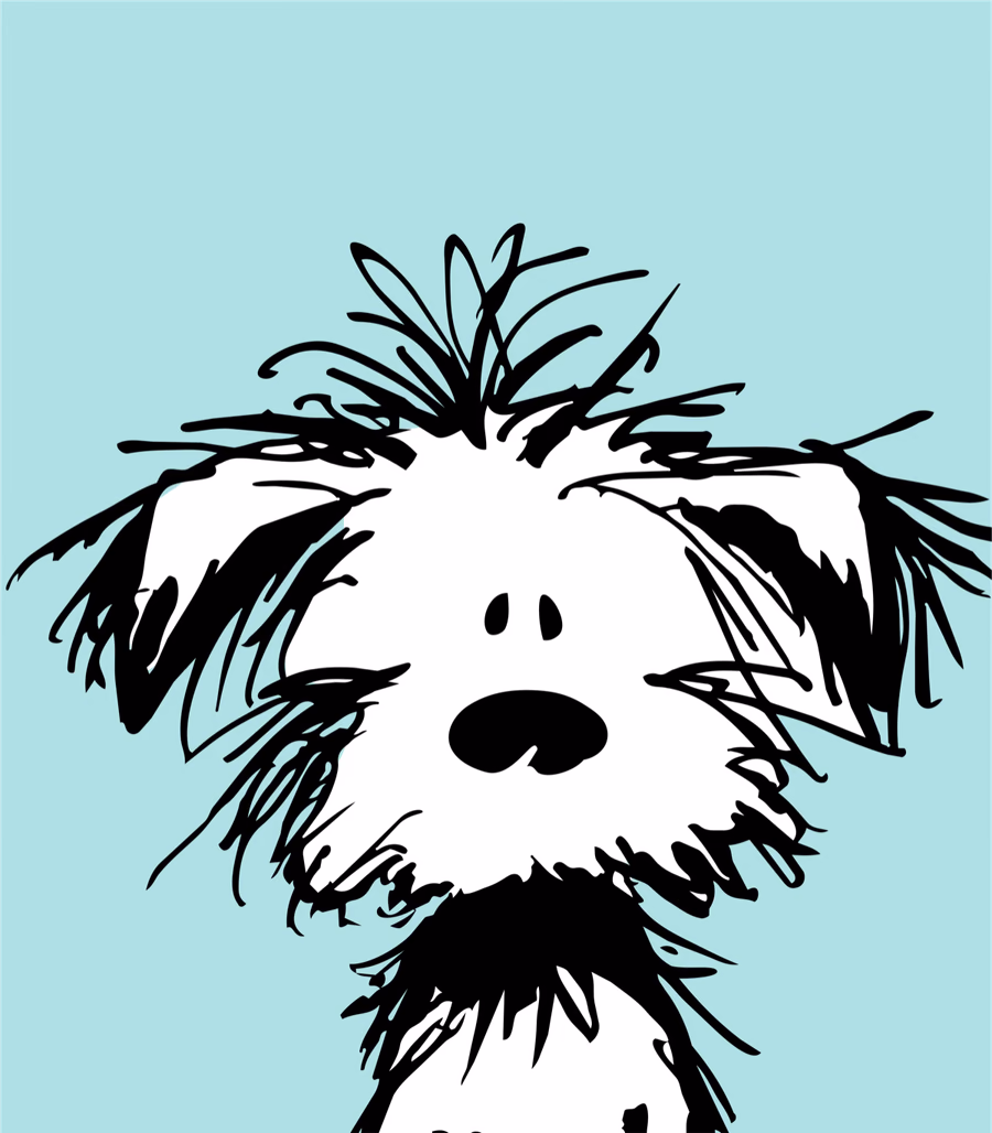 Perro con el pelo largo y descuidado.