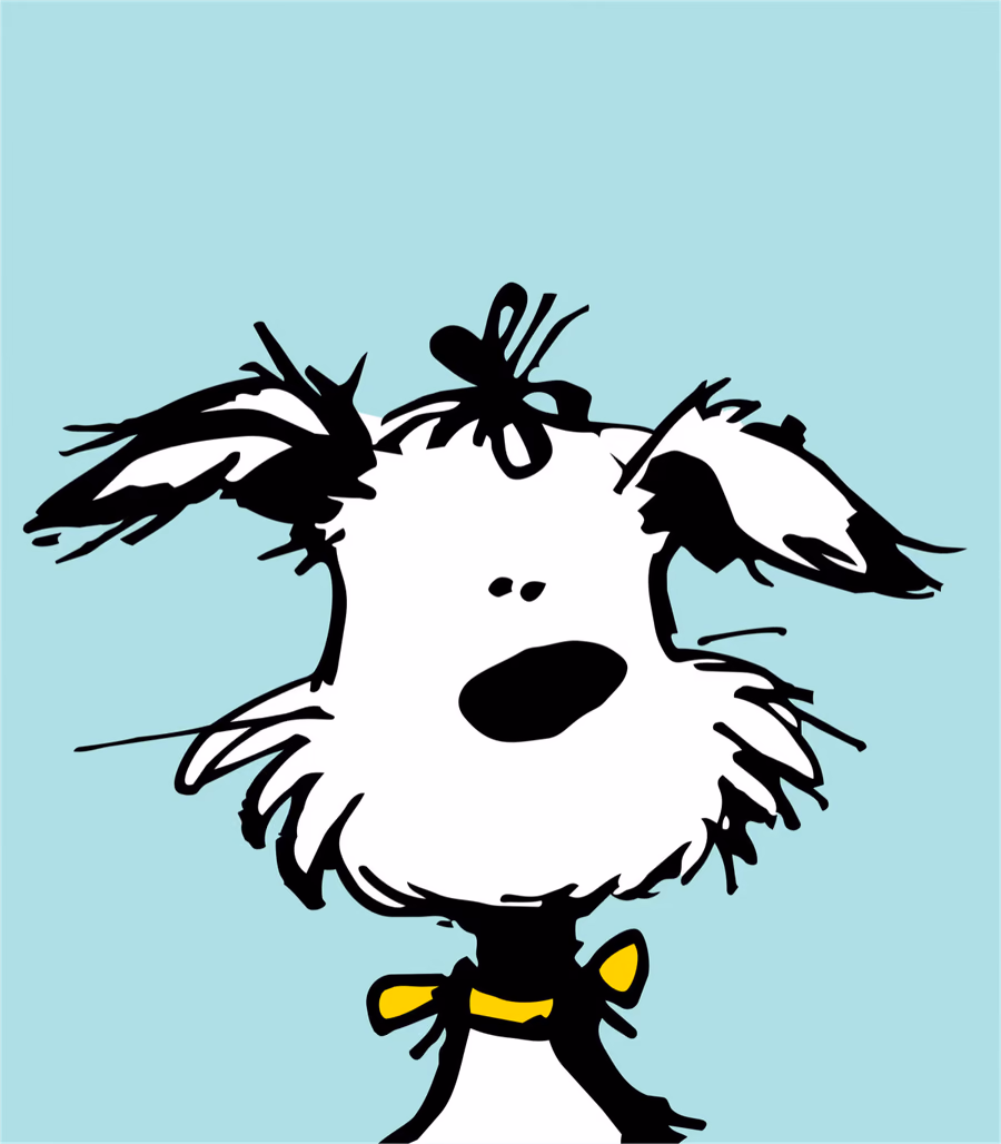 Perro después del baño y el corte.